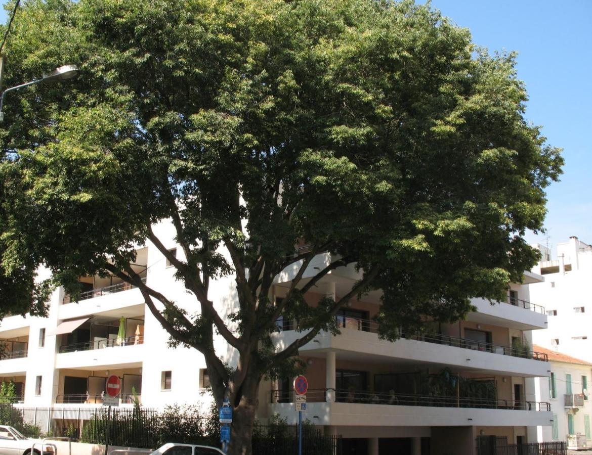 Spacious Luxury Apt, 12 Min Walk To Croisette Beach And Conf Centre Cannes Bagian luar foto